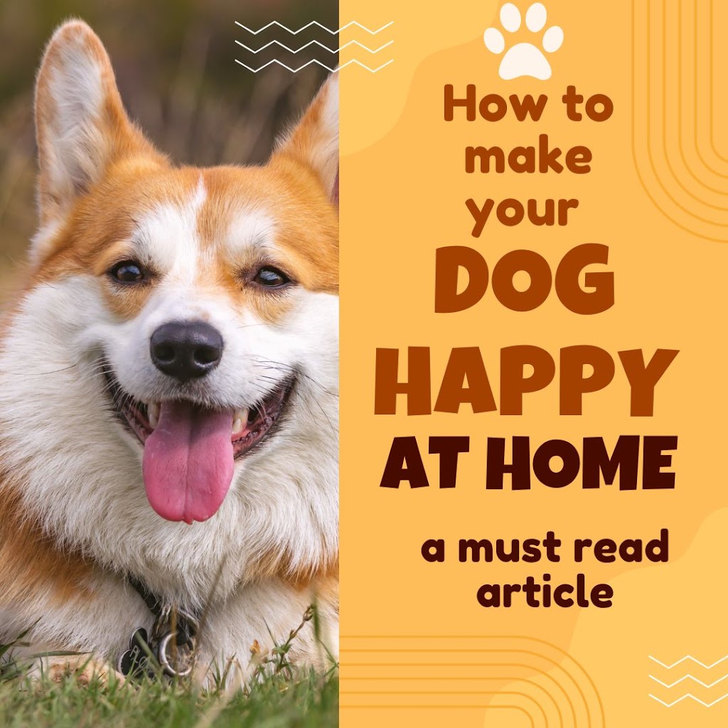 How to make Dog Happy at Home – A Must Read Article